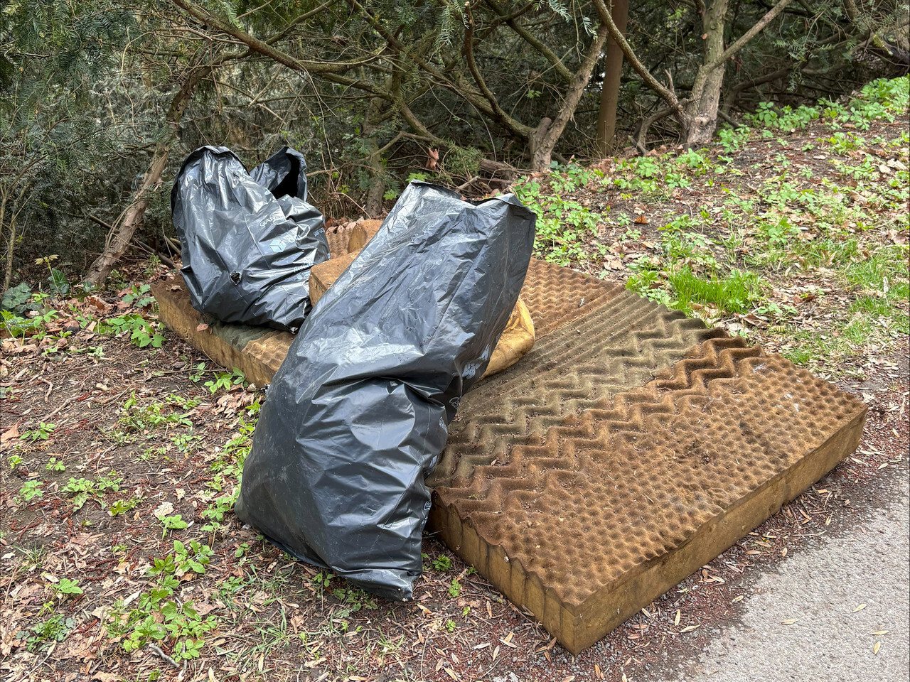 zdroj: Univerzita Palackého (Michal Zych, Miroslava Zavadil)
