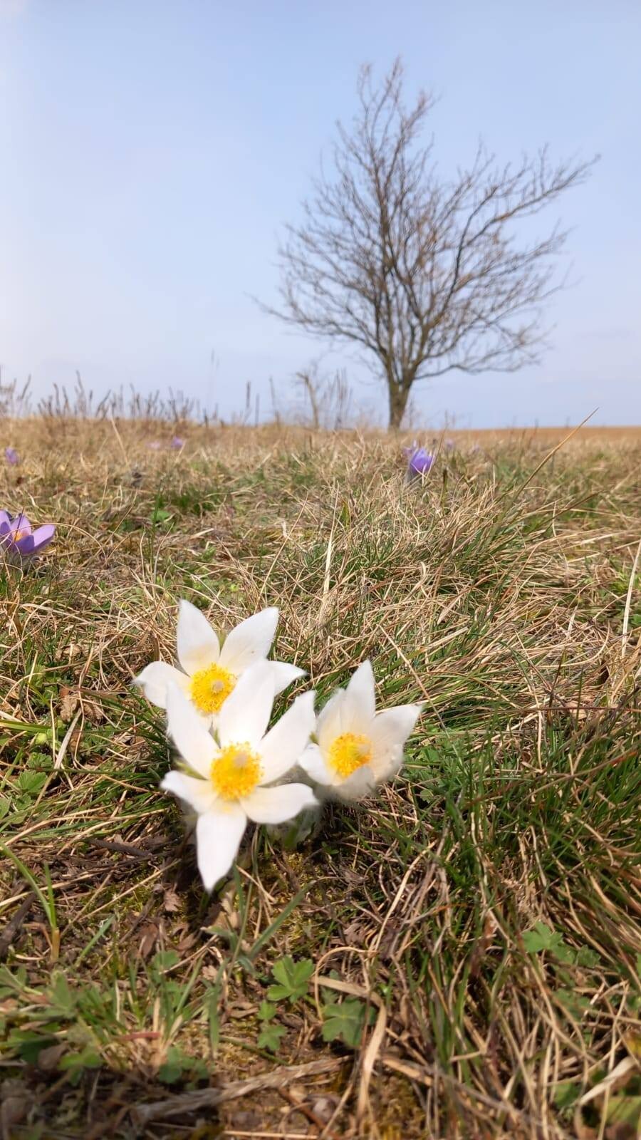 zdroj: Litovelské Pomoraví (Martina Huběnková)