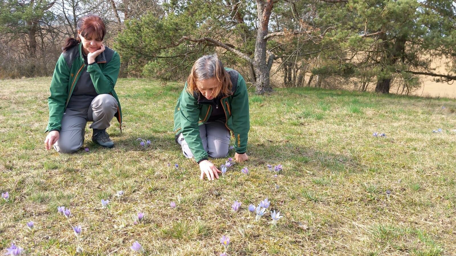 zdroj: Litovelské Pomoraví (Martina Huběnková)