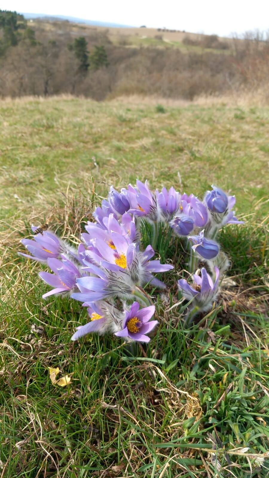 zdroj: Litovelské Pomoraví (Martina Huběnková)