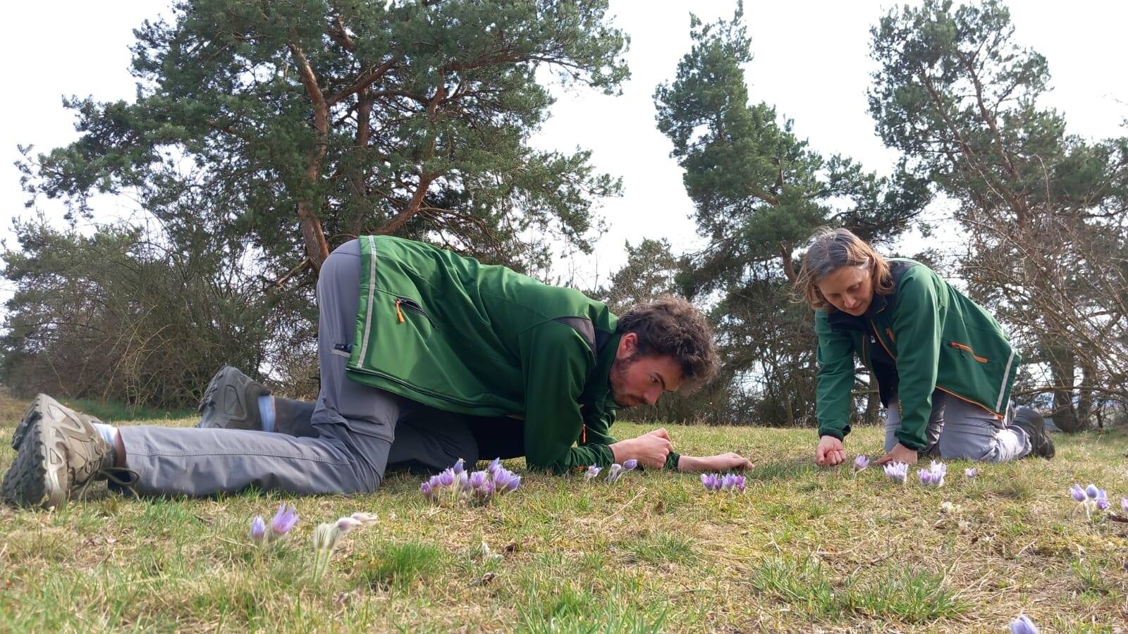 zdroj: Litovelské Pomoraví (Martina Huběnková)