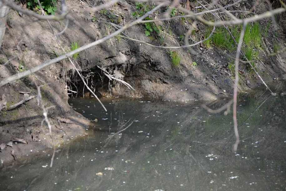 zdroj: město Olomouc