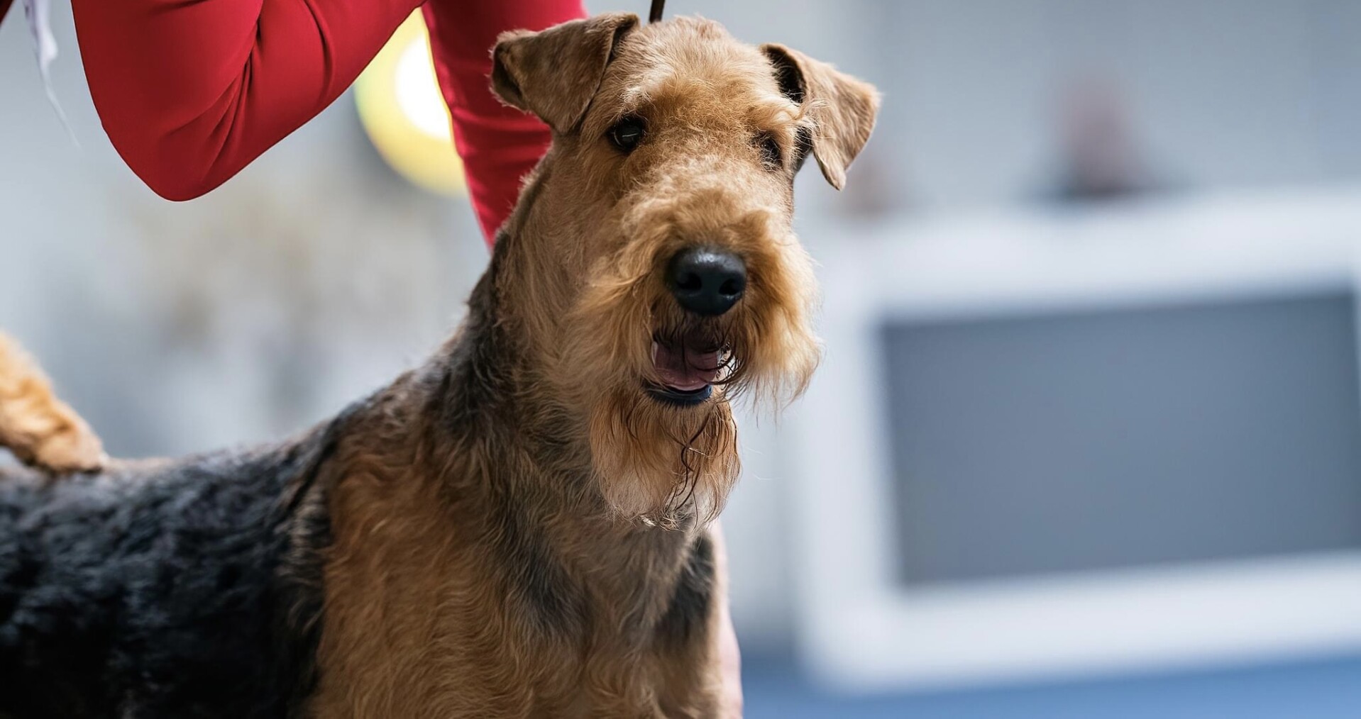 Foto: Emma Růčková