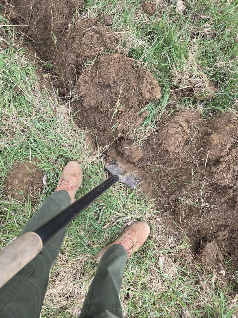 zdroj: Spolek O chlup, z. s.