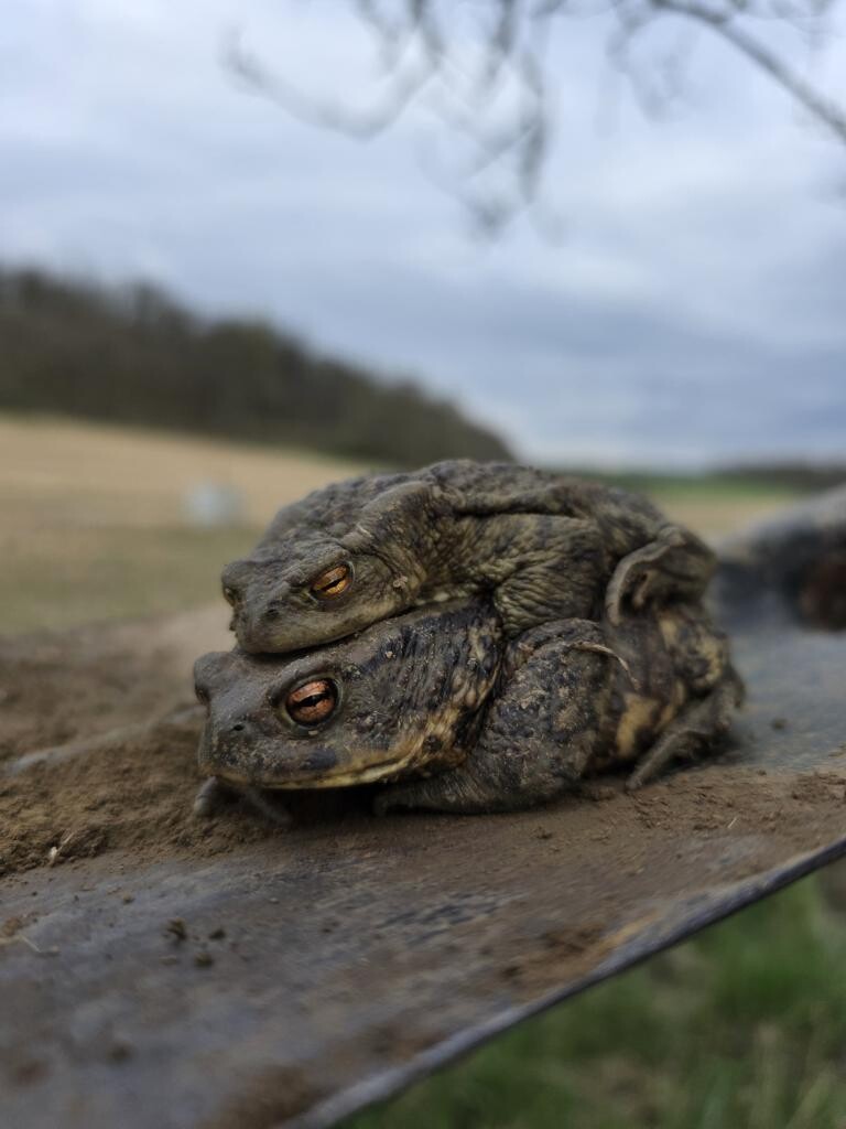 zdroj: Spolek O chlup, z. s.