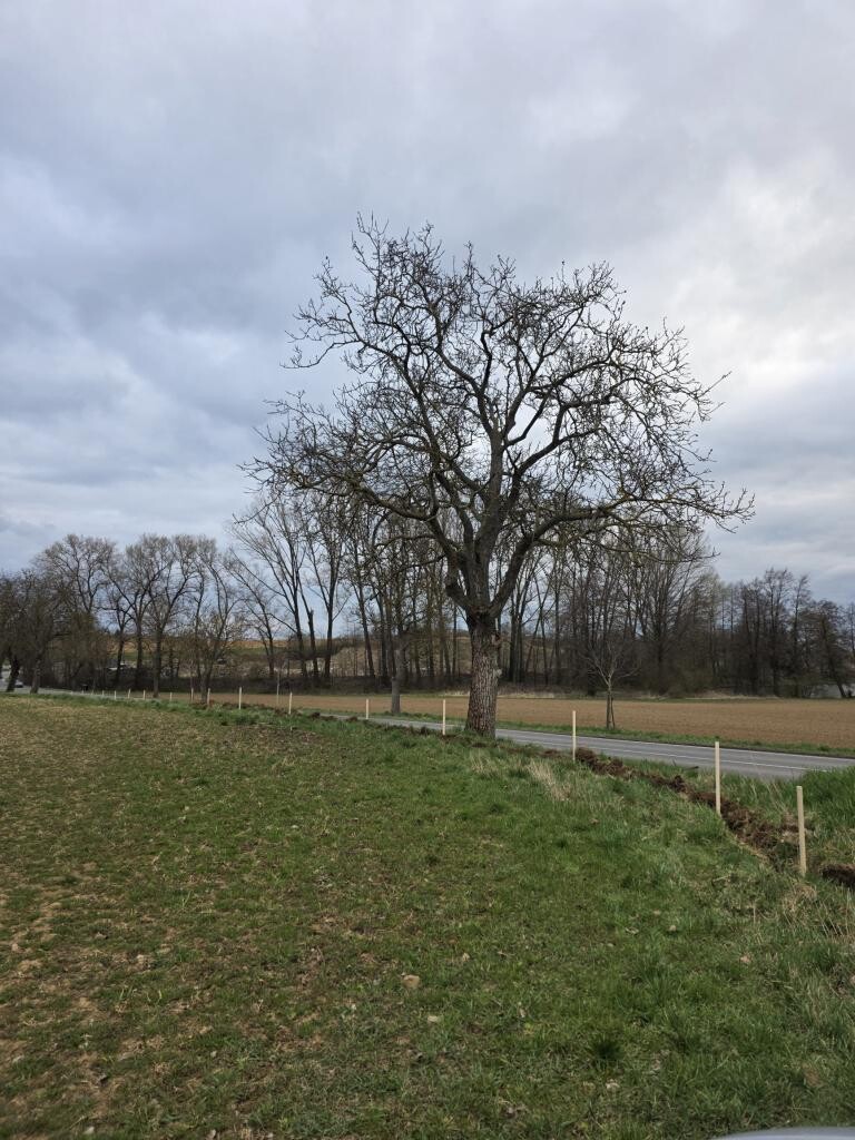 zdroj: Spolek O chlup, z. s.