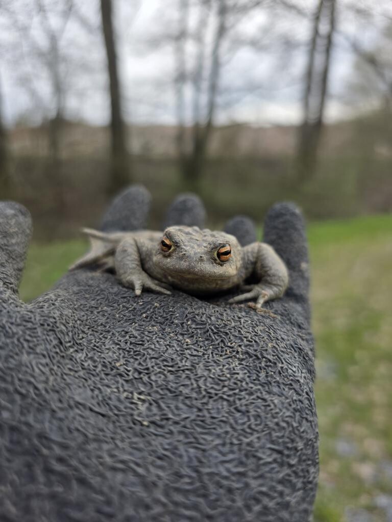 zdroj: Spolek O chlup, z. s.
