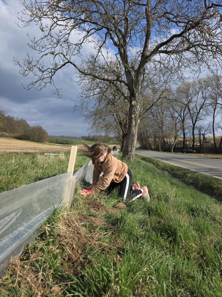 zdroj: Spolek O chlup, z. s.