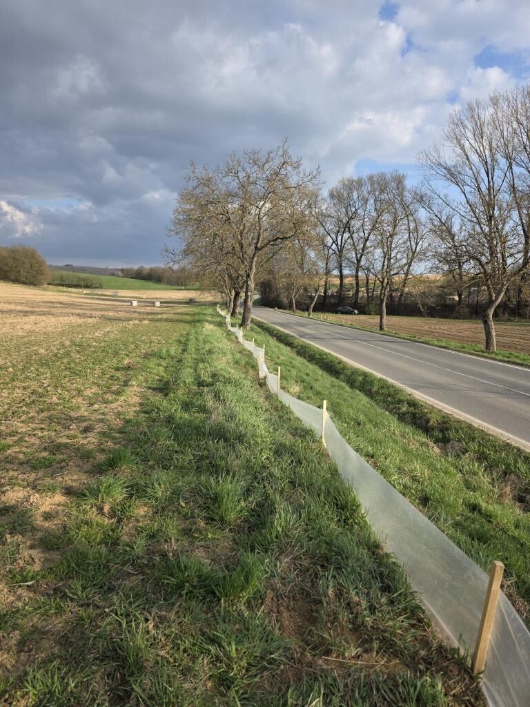 zdroj: Spolek O chlup, z. s.