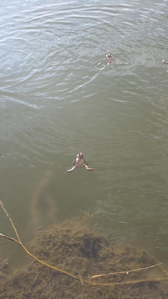 zdroj: Spolek O chlup, z. s.