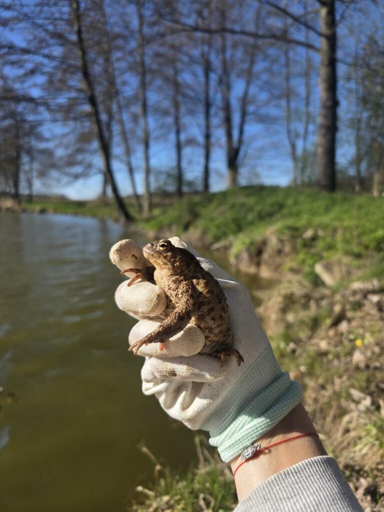 zdroj: Spolek O chlup, z. s.