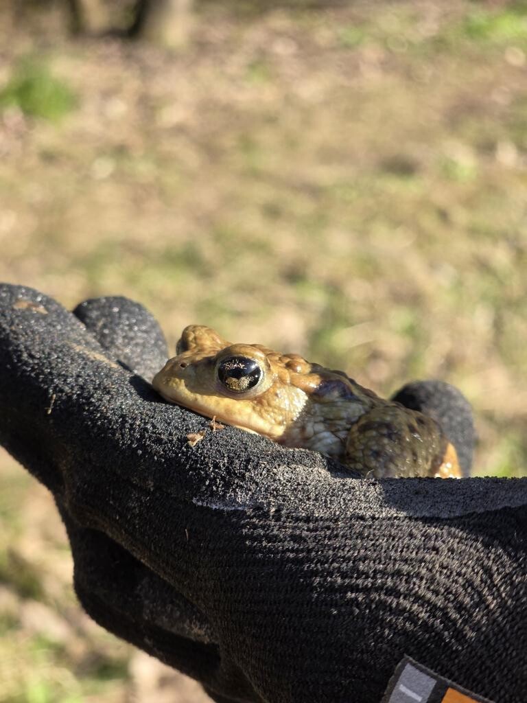 zdroj: Spolek O chlup, z. s.