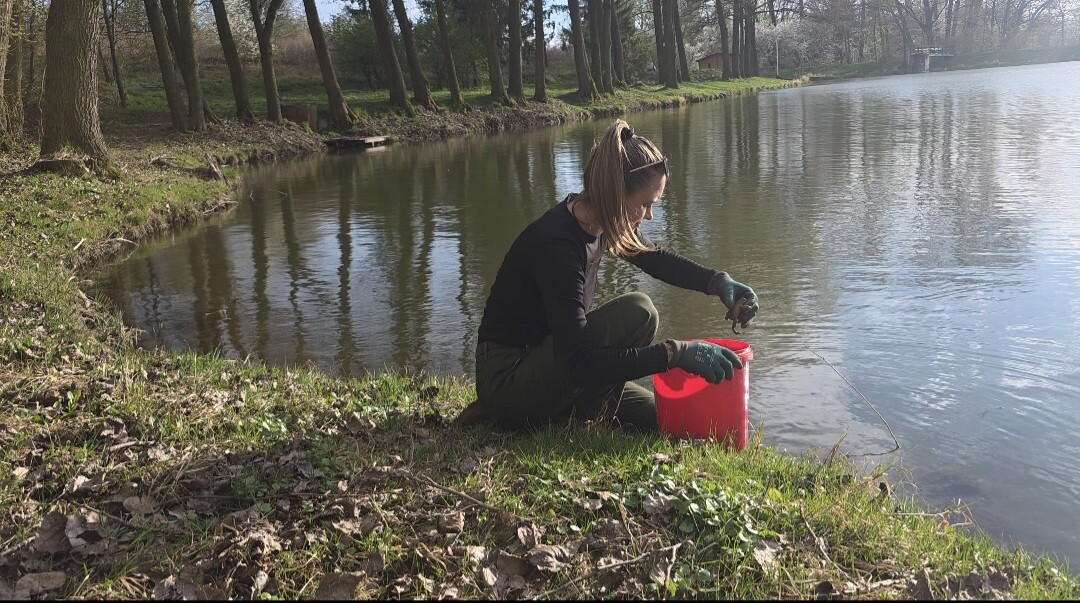 zdroj: Spolek O chlup, z. s.