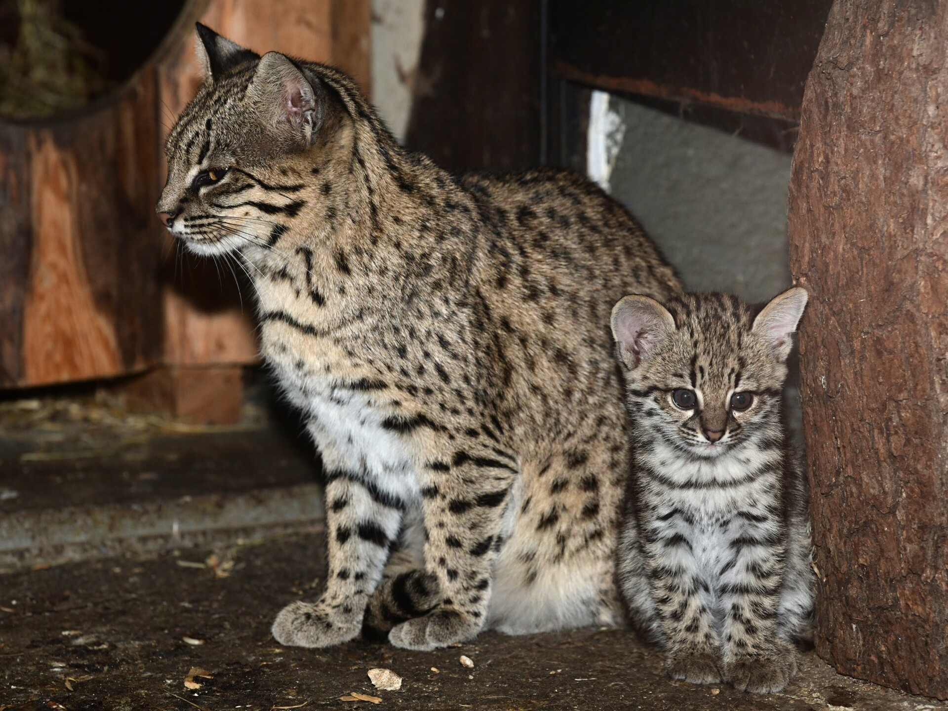 zdroj: Zoo Olomouc