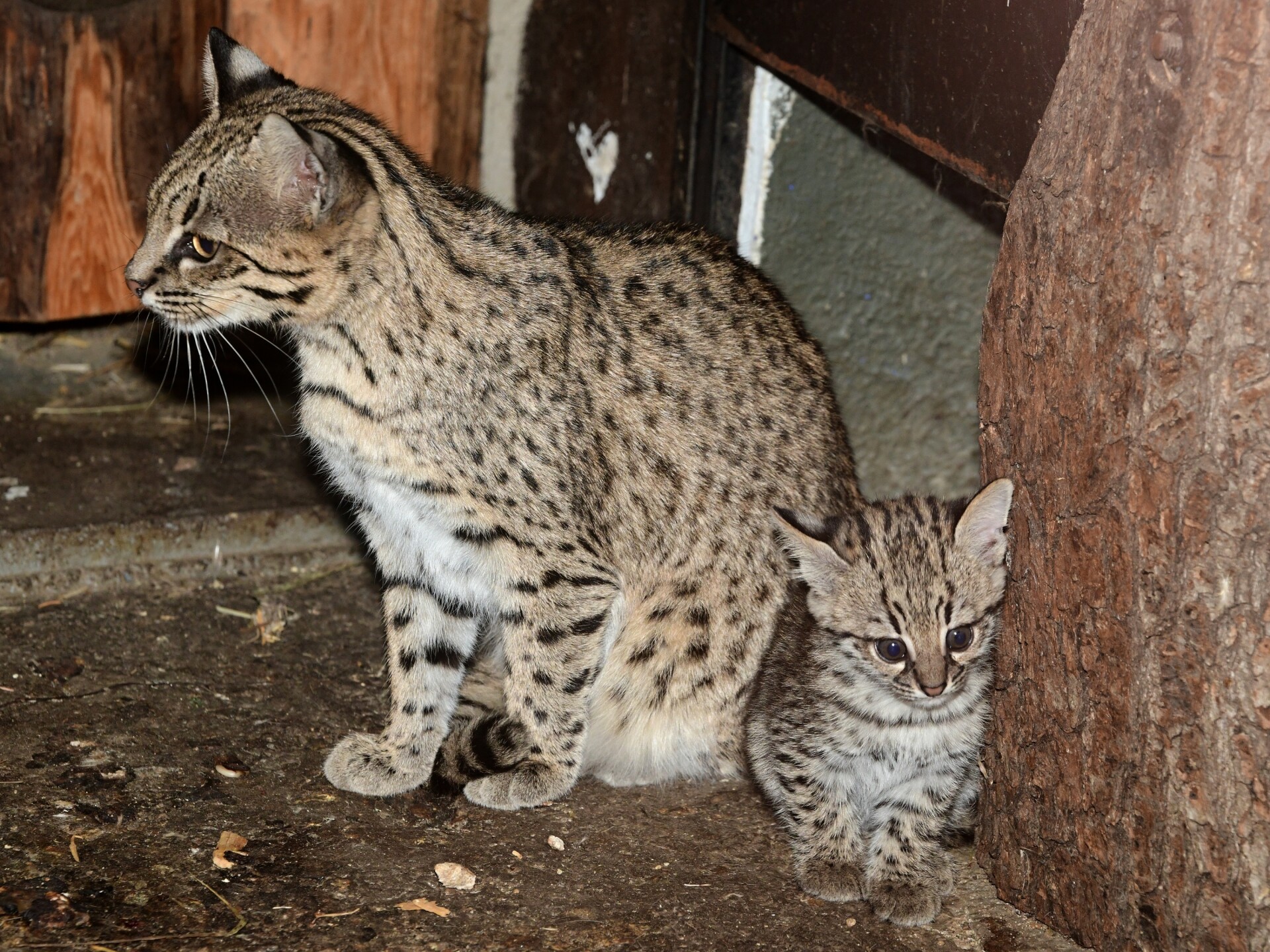 zdroj: Zoo Olomouc