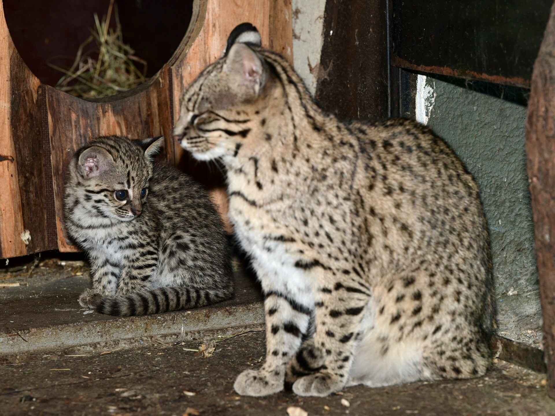 zdroj: Zoo Olomouc
