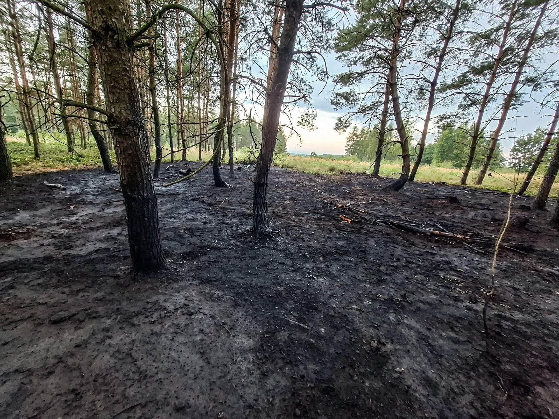 zdroj: HZS Olomouckého kraje