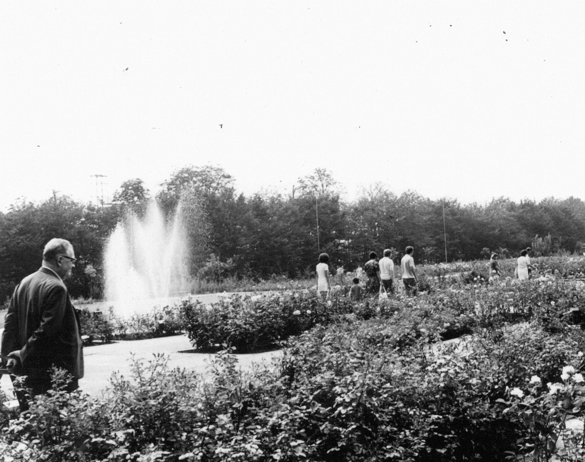 Historické fotografie Rozária