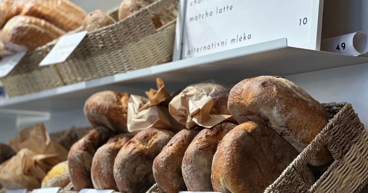 Zdroj: Kam zajít Olomouc