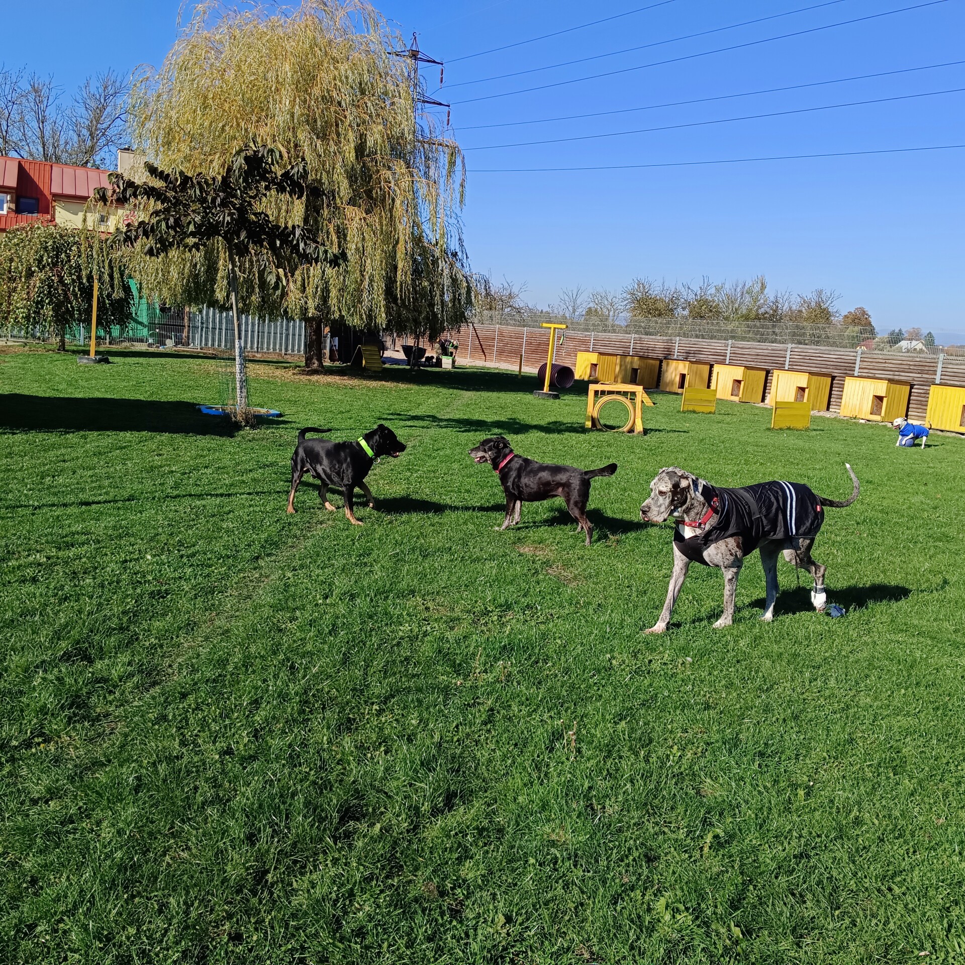 zdroj: Zastavme utrpení