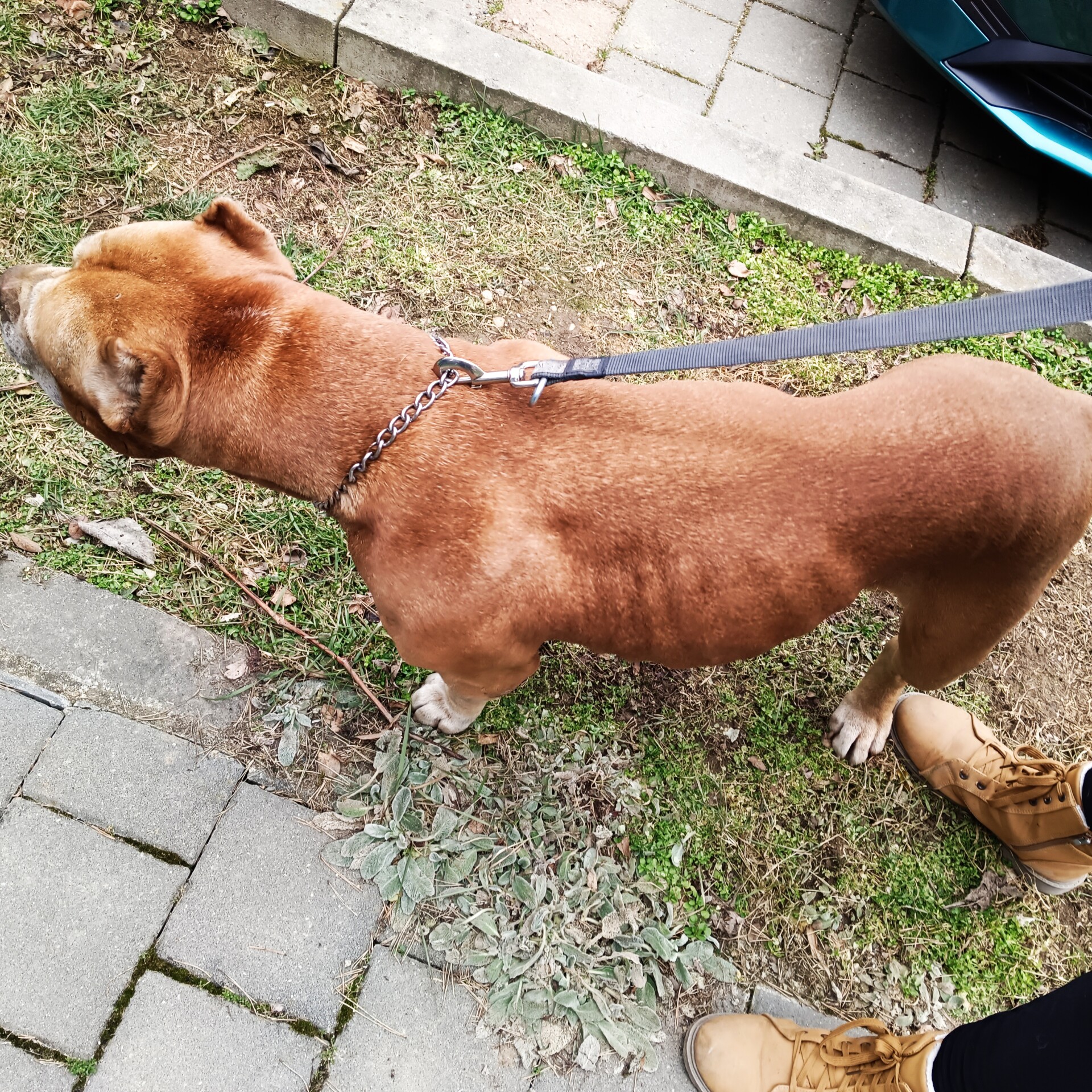 zdroj: Zastavme utrpení