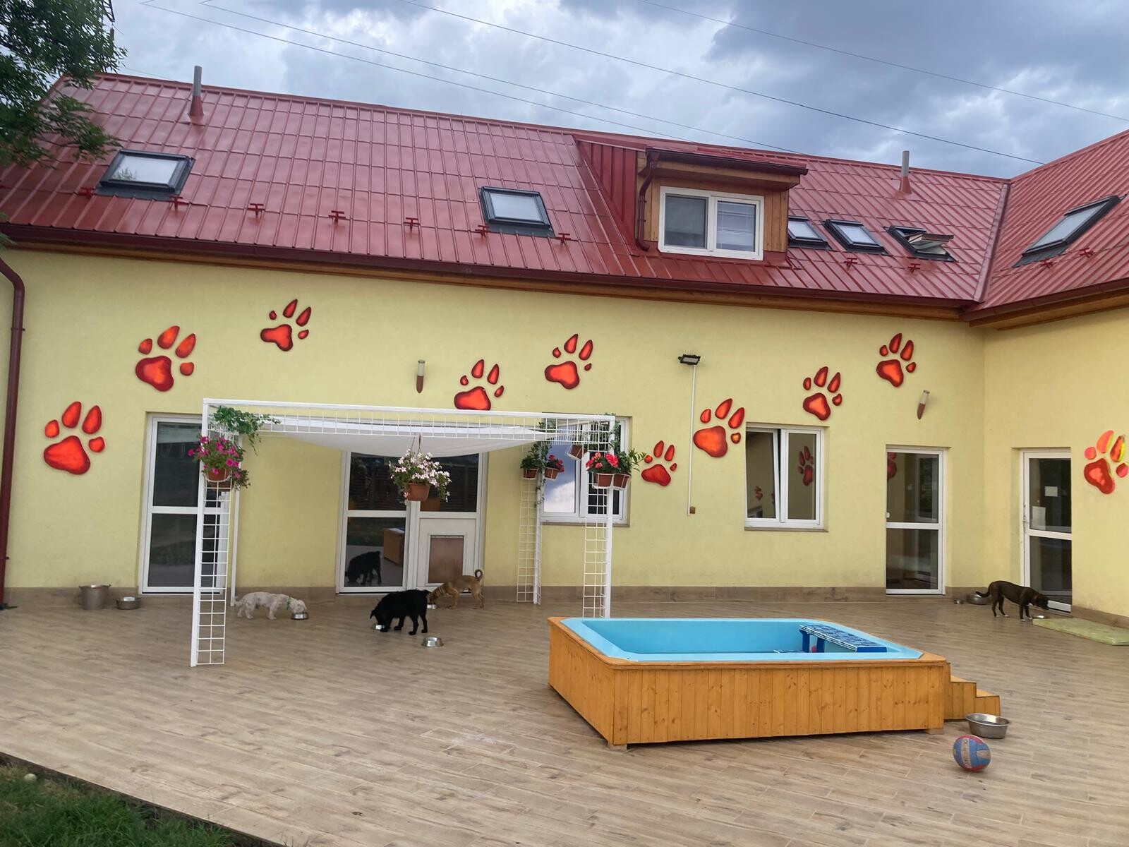 zdroj: Zastavme utrpení