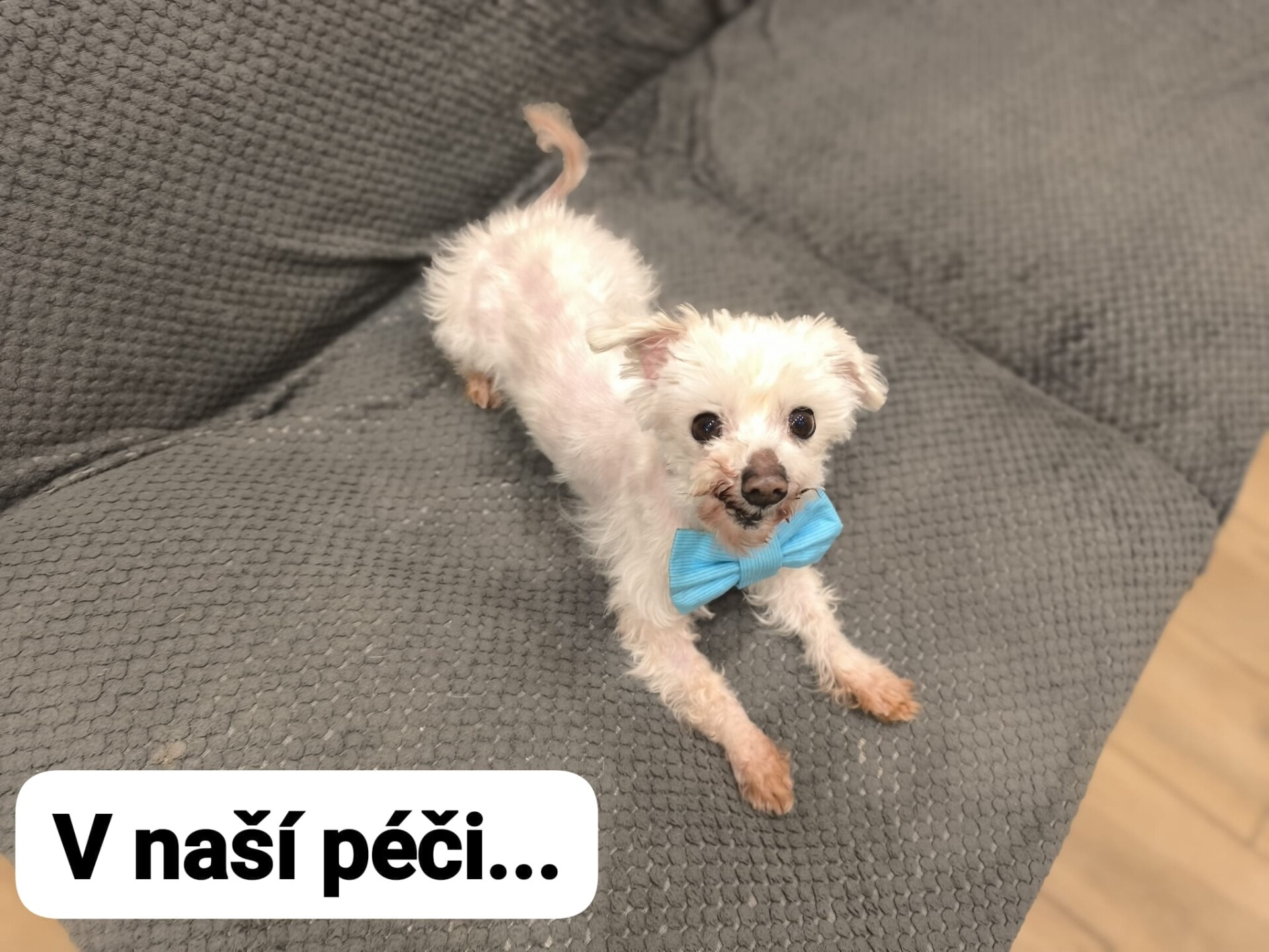 zdroj: Zastavme utrpení