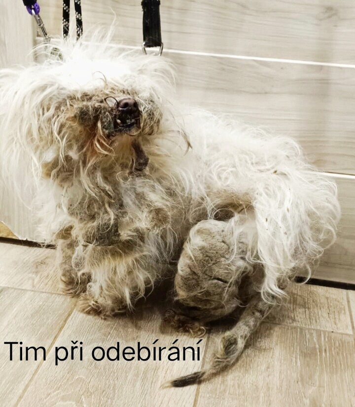 zdroj: Zastavme utrpení