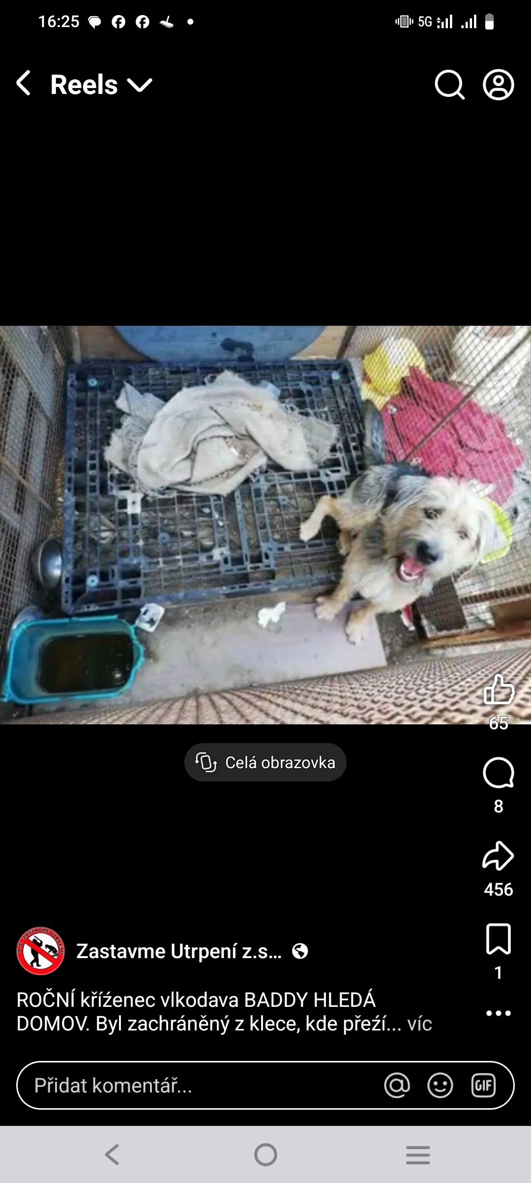 zdroj: Zastavme utrpení