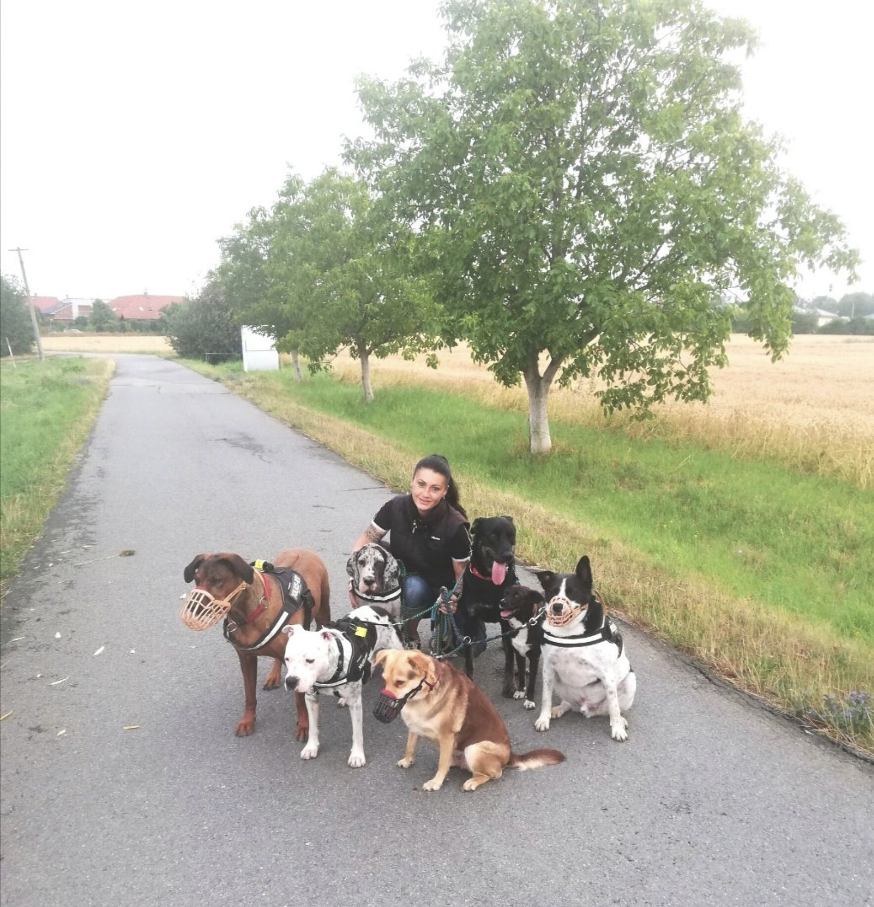 zdroj: Zastavme utrpení