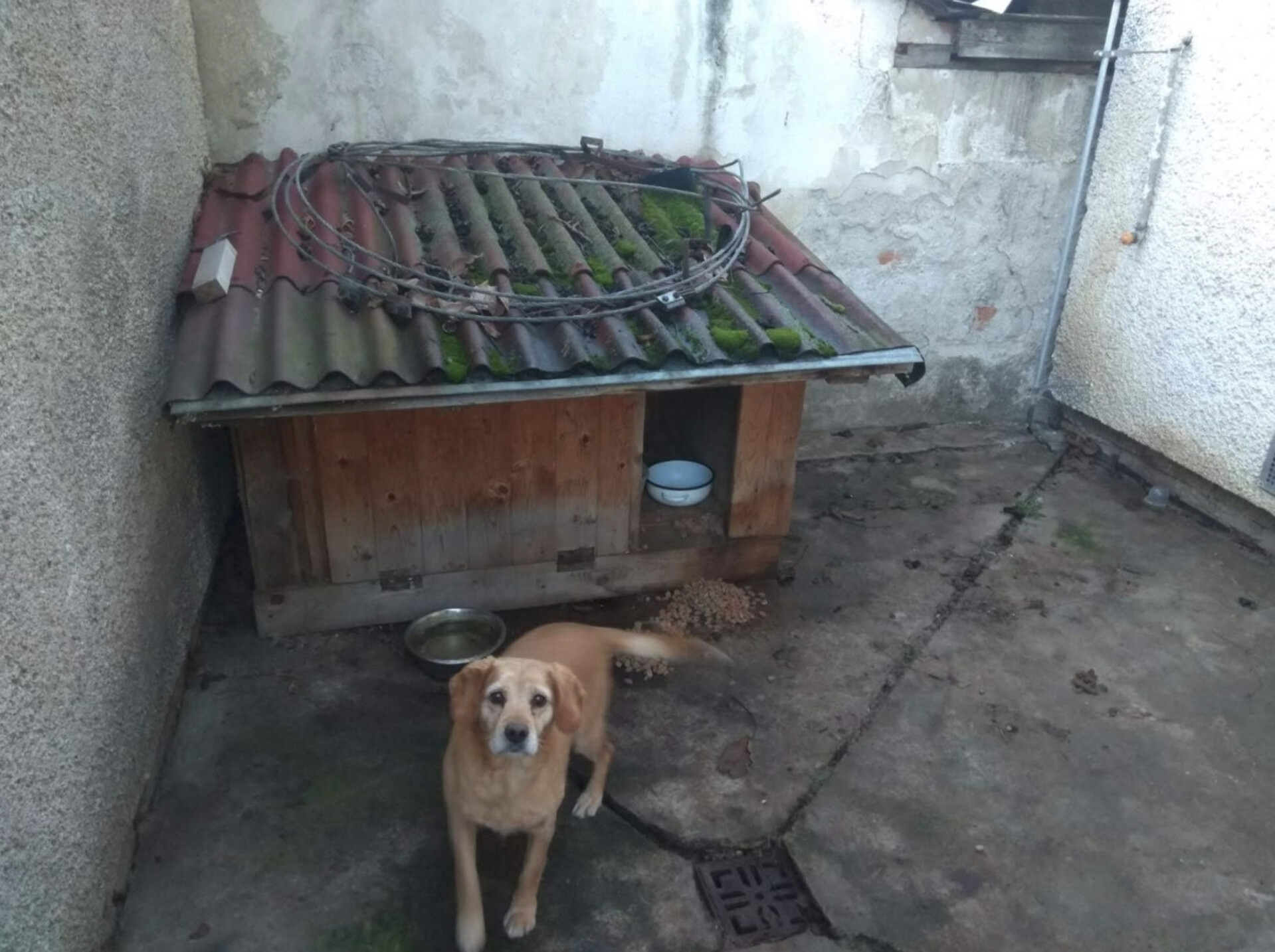 zdroj: Zastavme utrpení