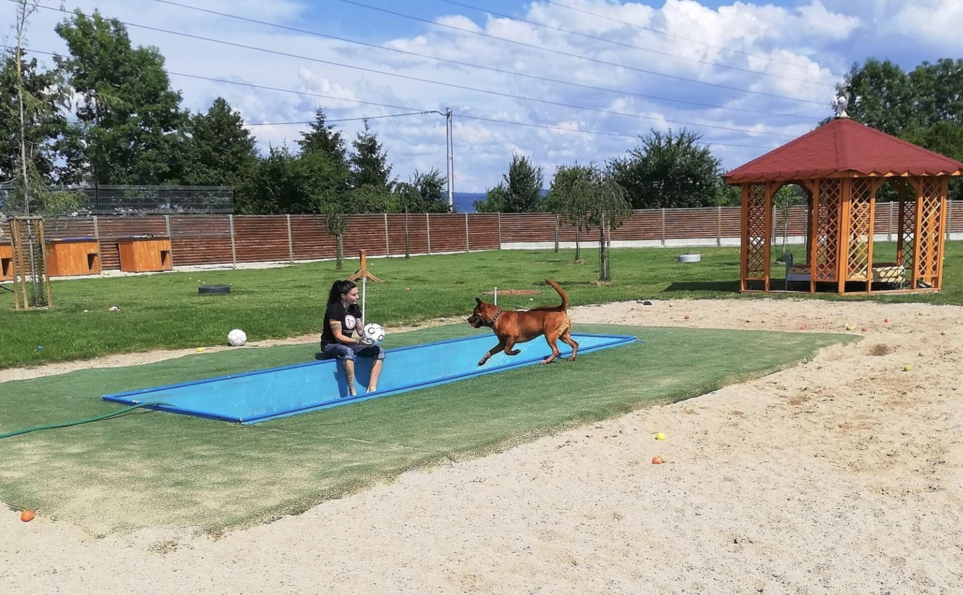 zdroj: Zastavme utrpení