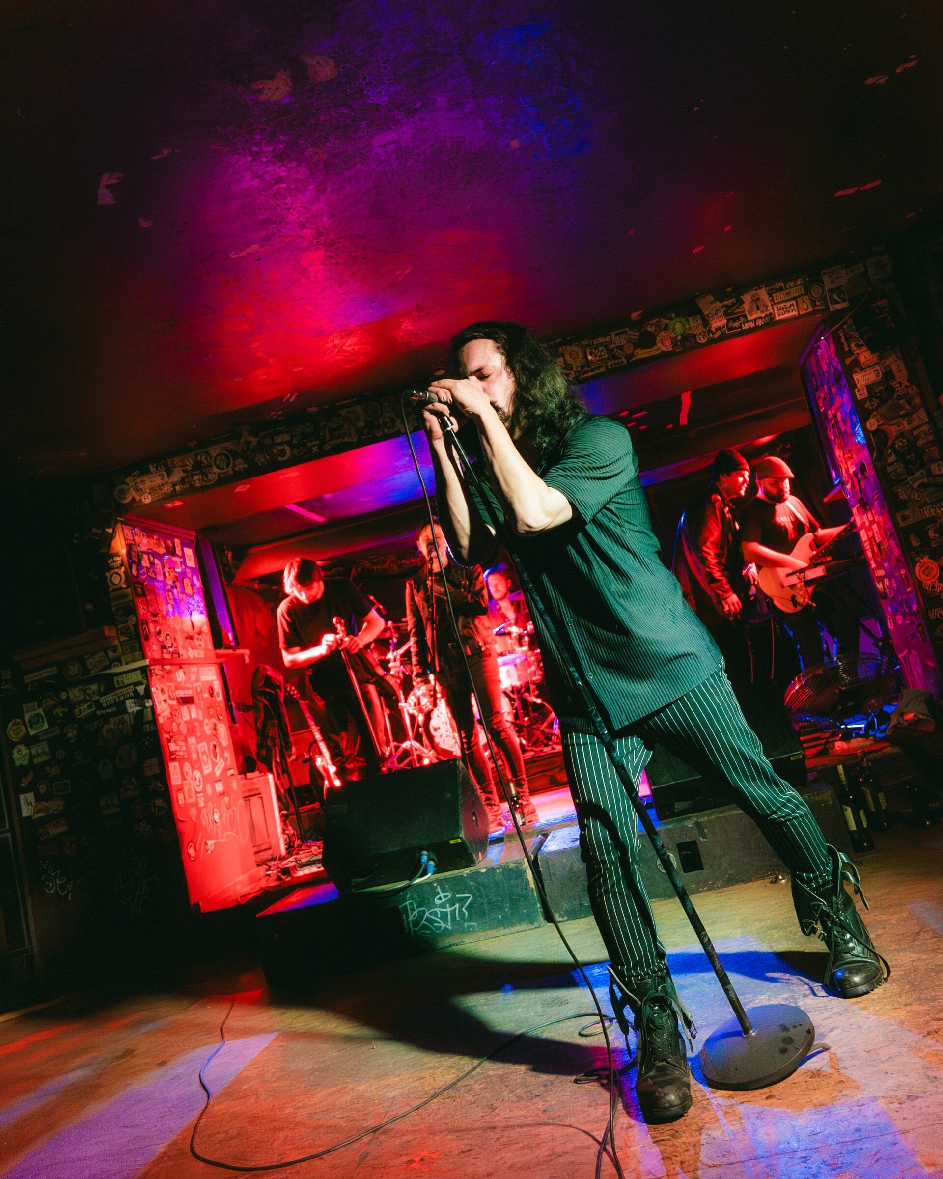 Dead Dog Legacy, foto: Katarzyna Wolf