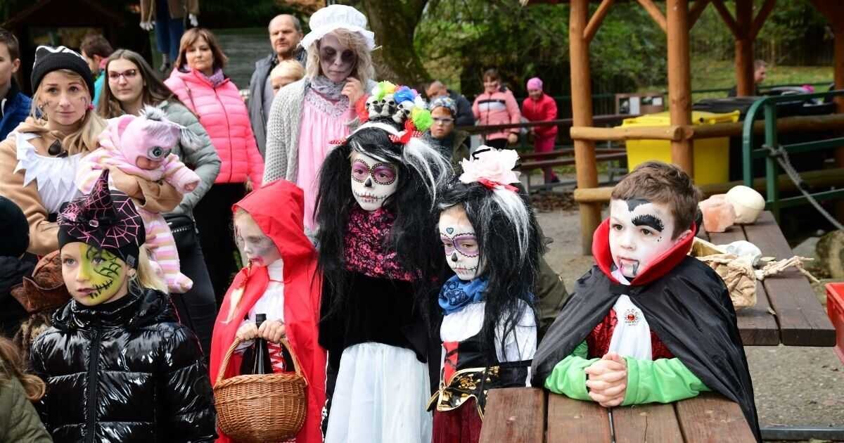 Zdroj: Zoo Olomouc