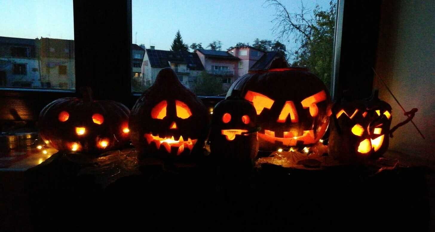 Autor: Lucie Čechová