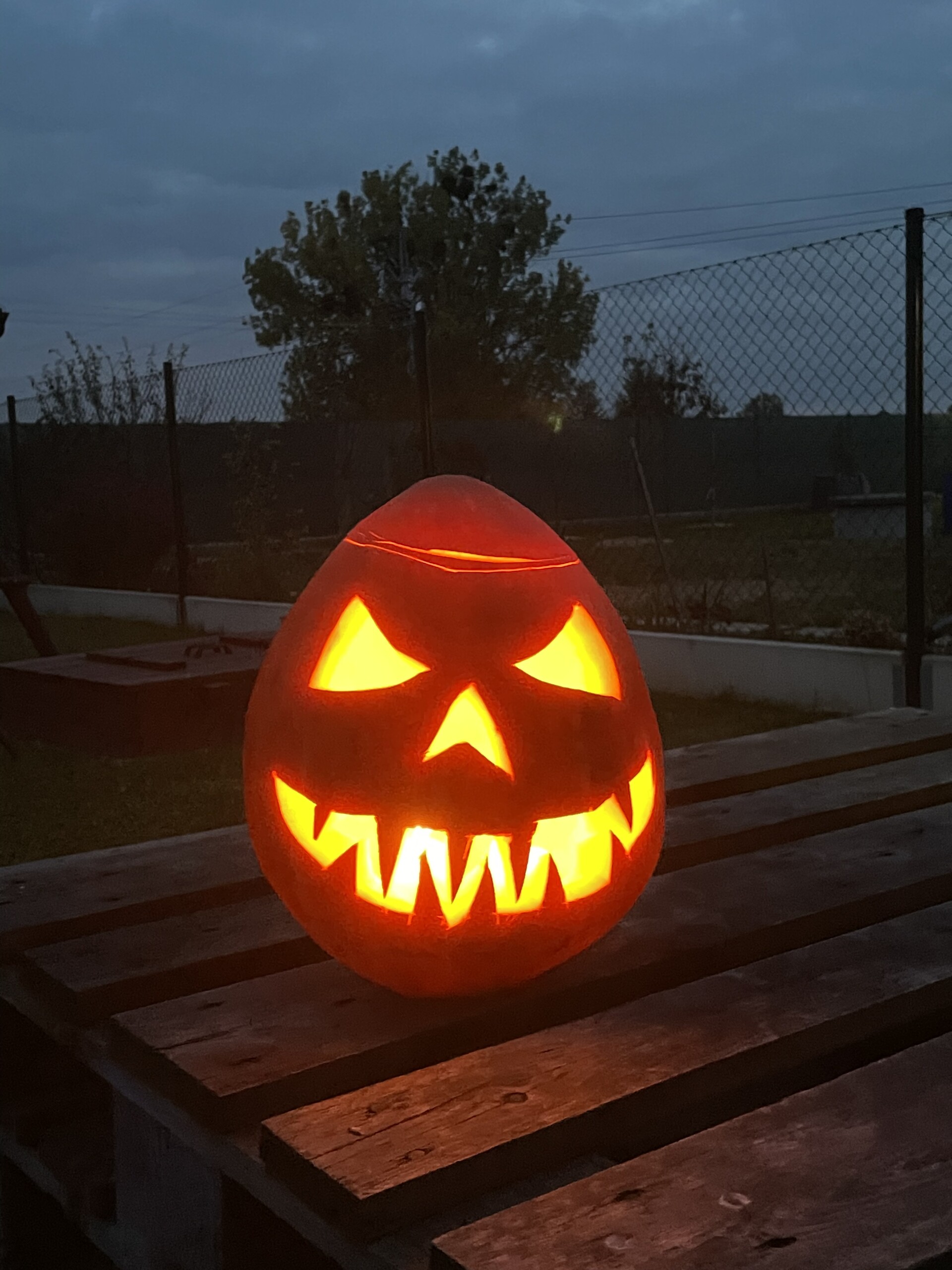 Autor: Lucie Čechová