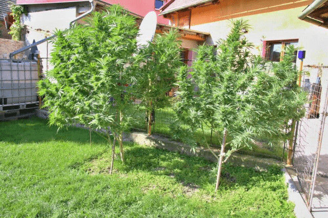 zdroj: Policie ČR
