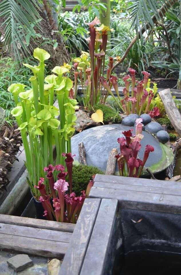 Foto: Flora Olomouc