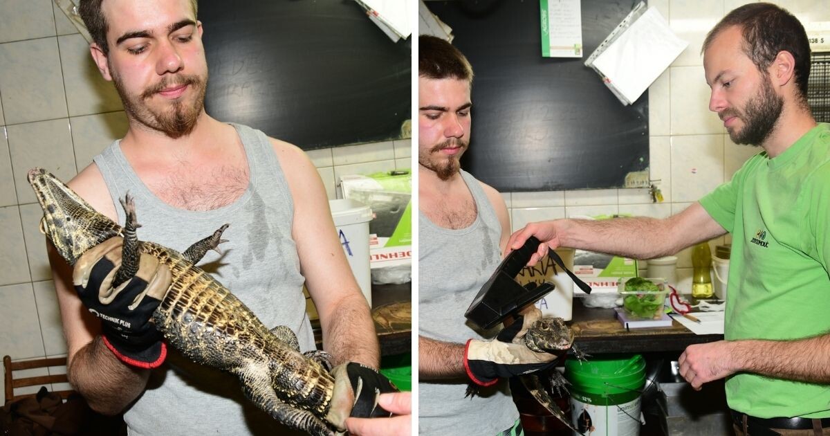 Zdroj: Zoo Olomouc