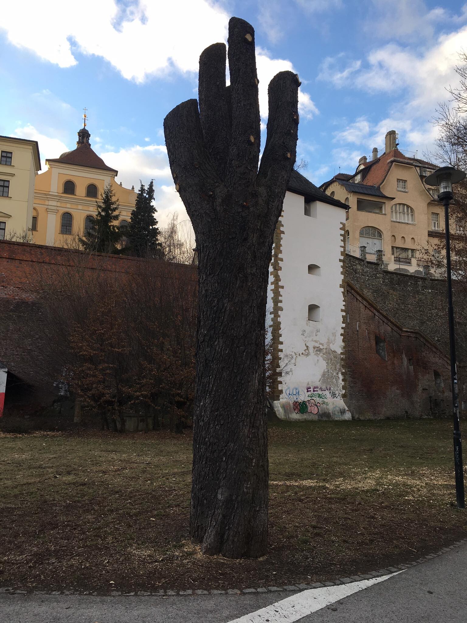 Zdroj: Olomoucký Report
