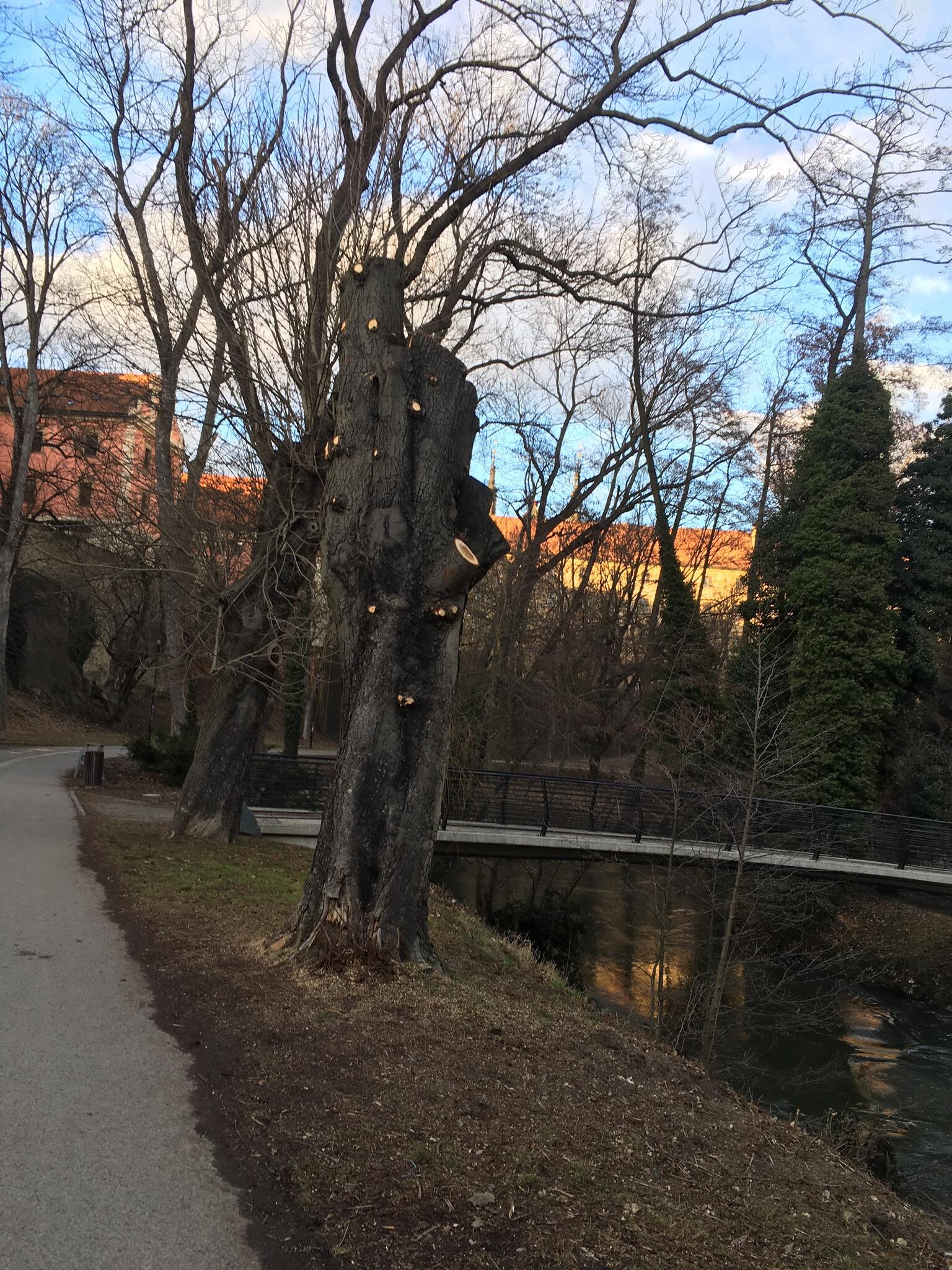 Zdroj: Olomoucký Report