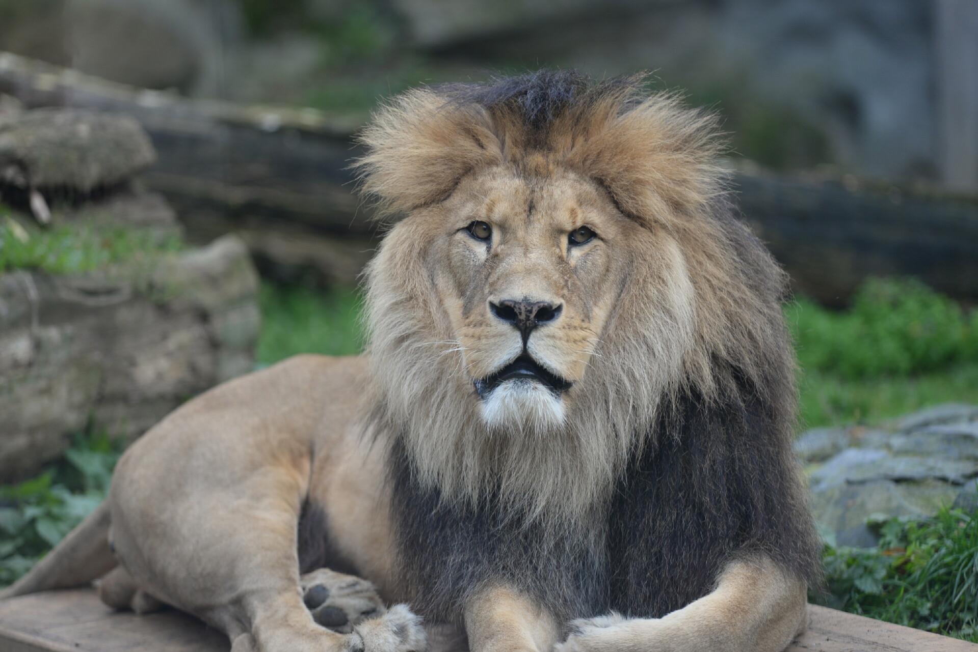 Zdroj: Zoo Olomouc