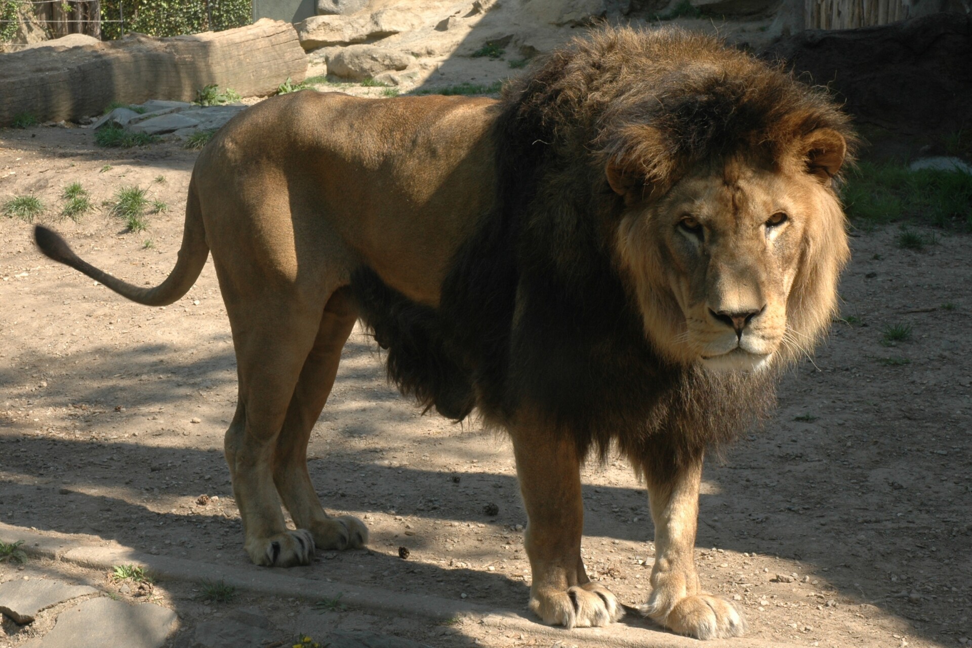 Zdroj: Zoo Olomouc