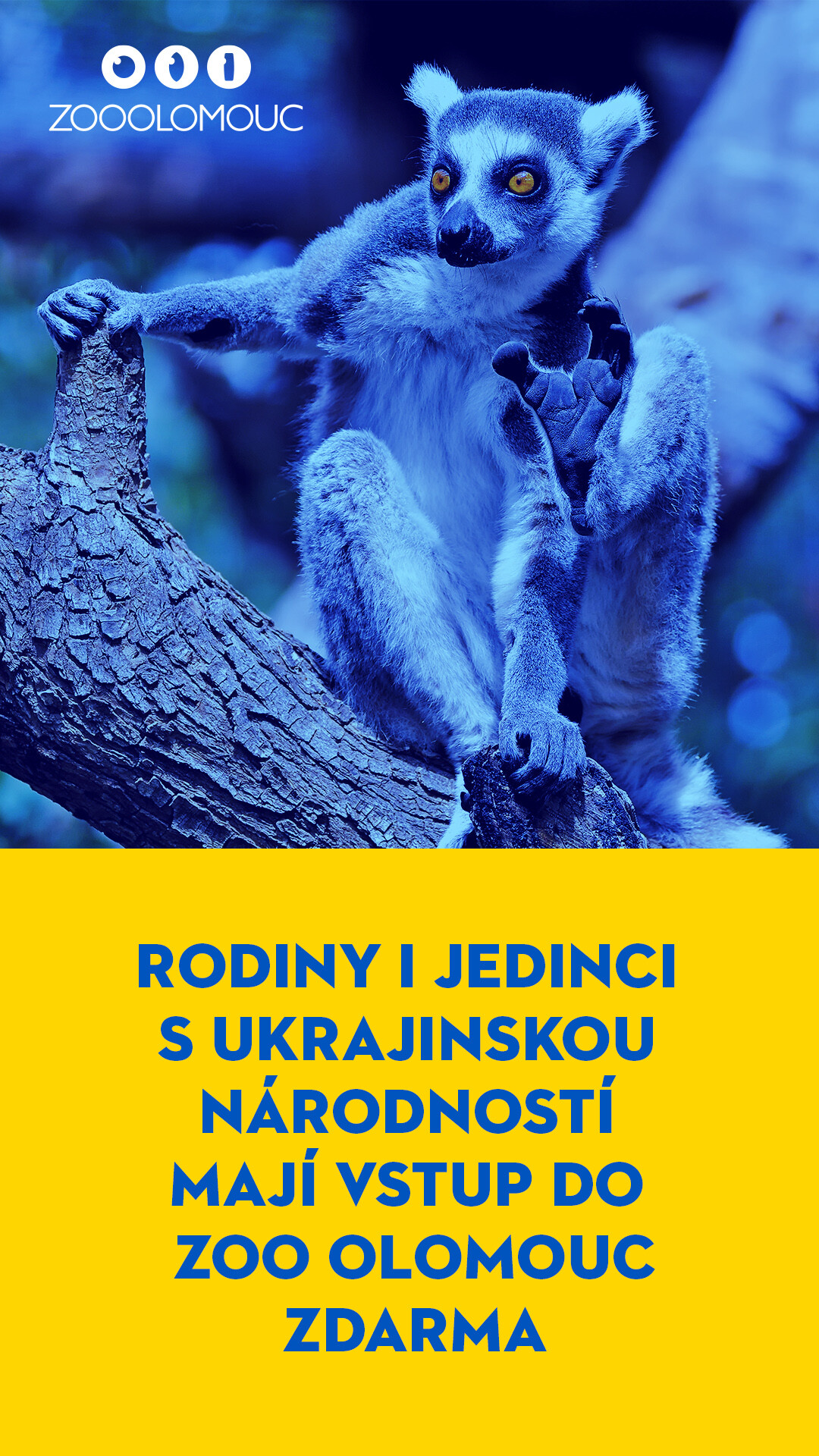 Zdroj: Zoo Olomouc