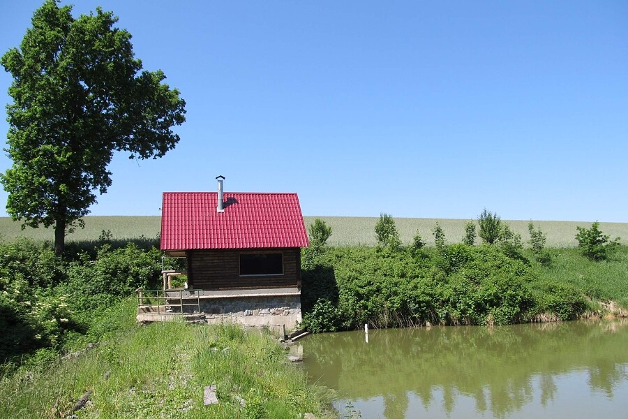 Zdroj: Příroda ve městě