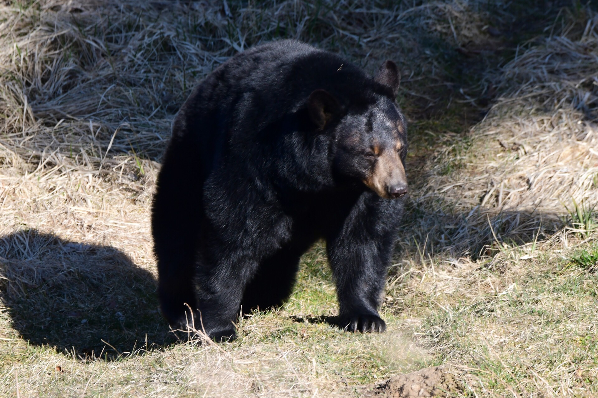 Zdroj: Zoo Olomouc