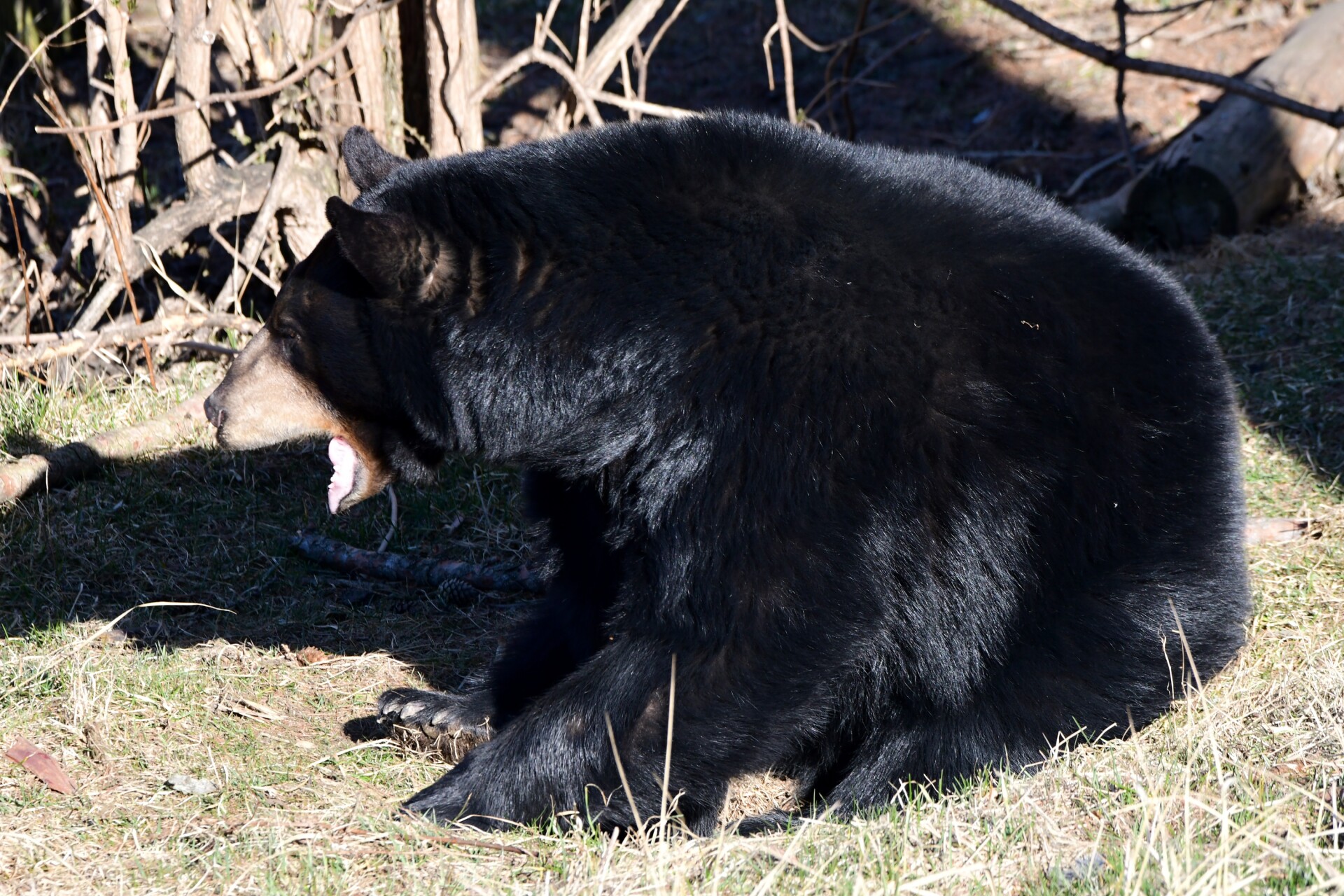 Zdroj: Zoo Olomouc