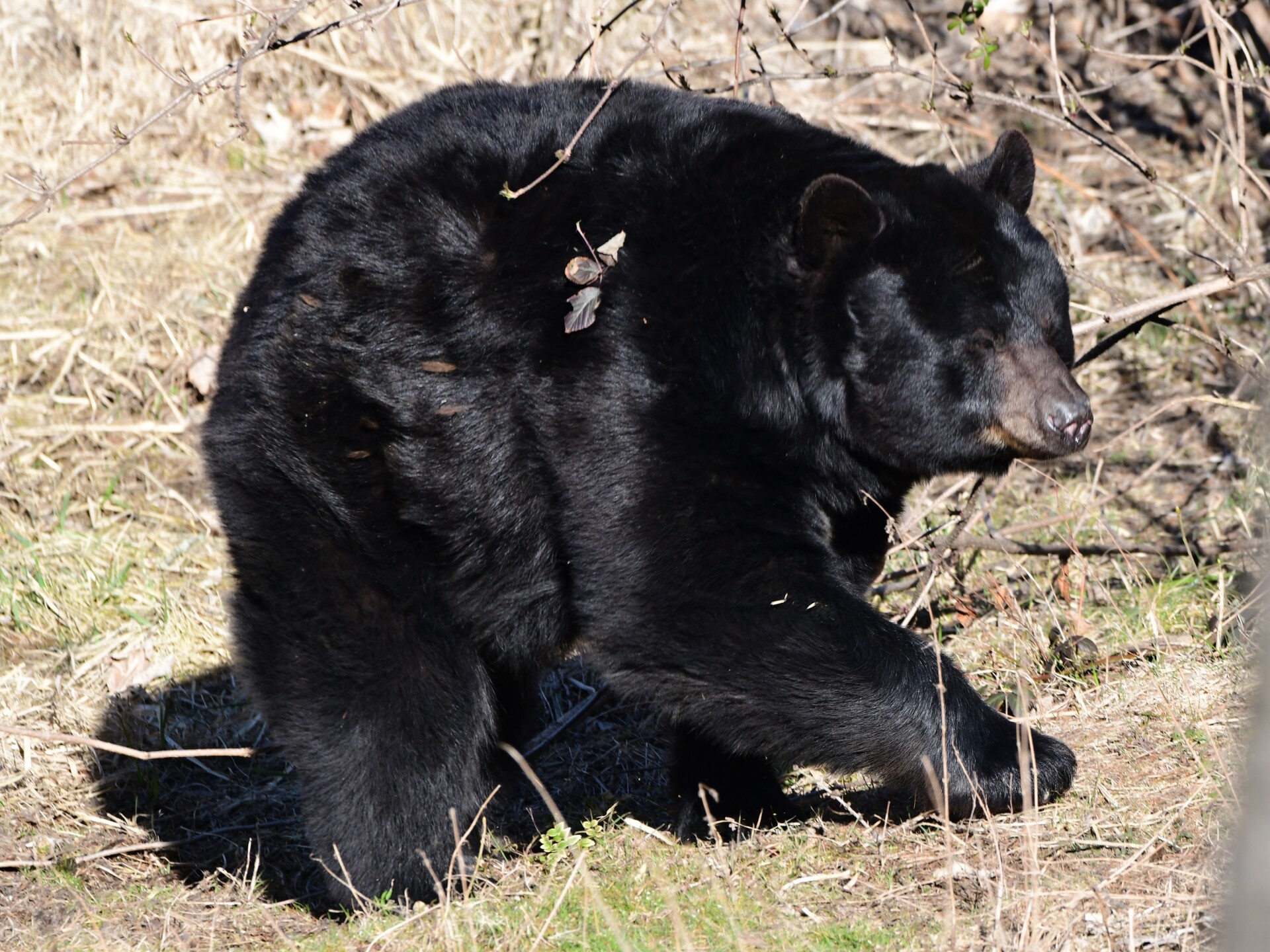 Zdroj: Zoo Olomouc