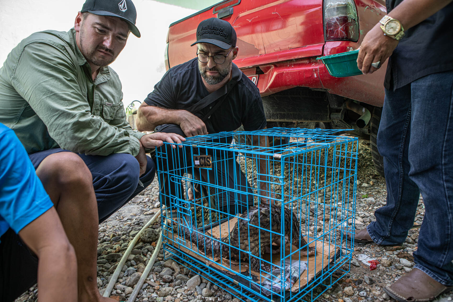 Zdroj: Lucie Čižmářová, environmetální fotografka a zooložka Zoo Olomouc
