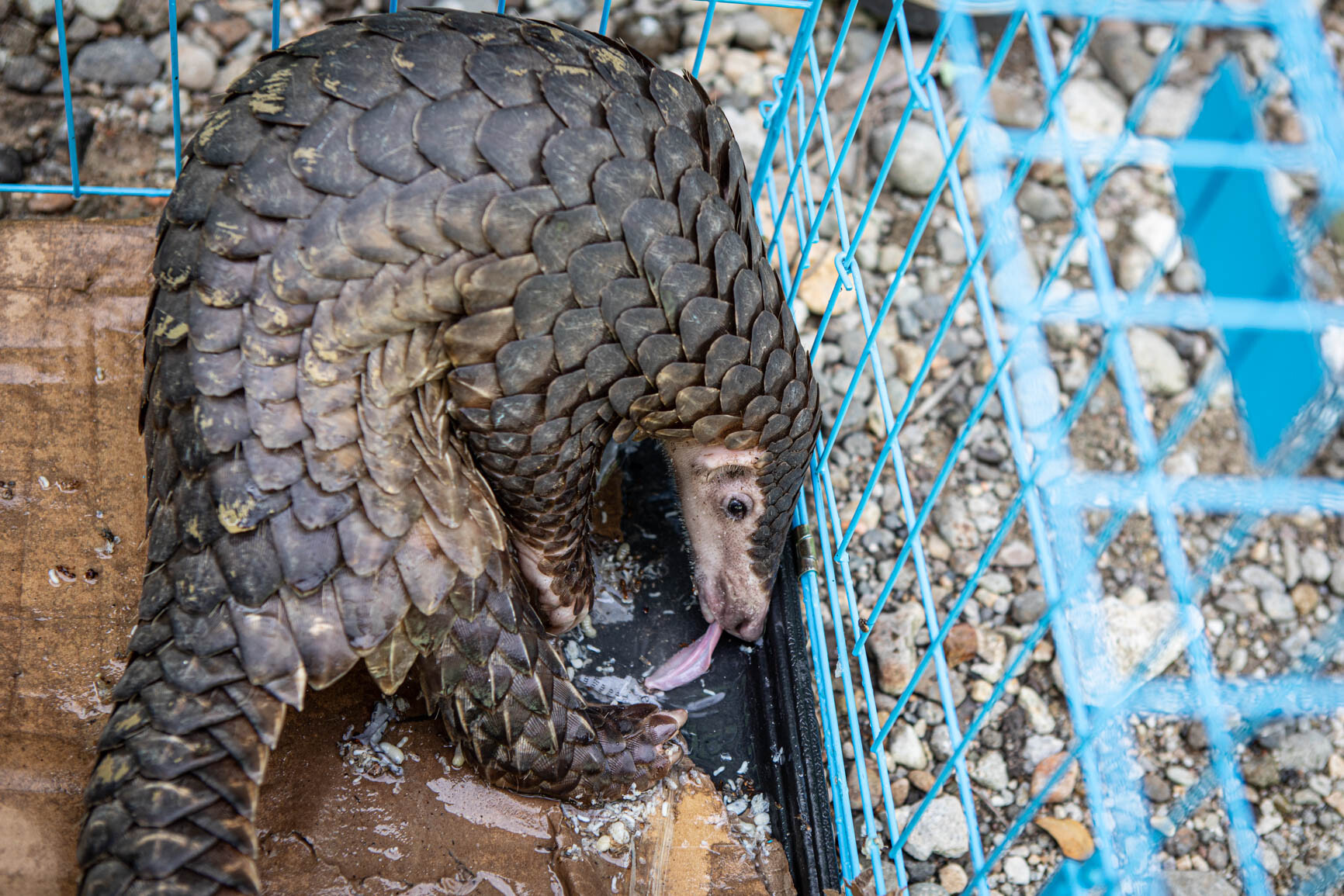 Zdroj: Lucie Čižmářová, environmetální fotografka a zooložka Zoo Olomouc